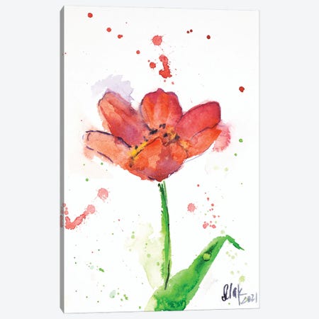 Red Tulip Canvas Print #NTM218} by Nataly Mak Art Print