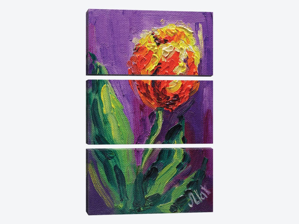 Orange Tulip by Nataly Mak 3-piece Canvas Artwork