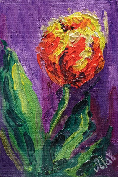 Tulips: Orange Tulip by Nataly Mak