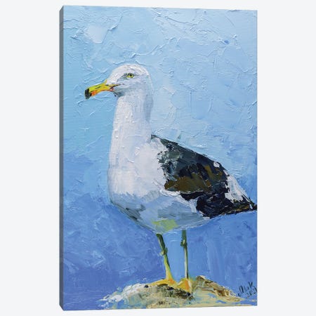 Seagull II Canvas Print #NTM225} by Nataly Mak Canvas Art Print