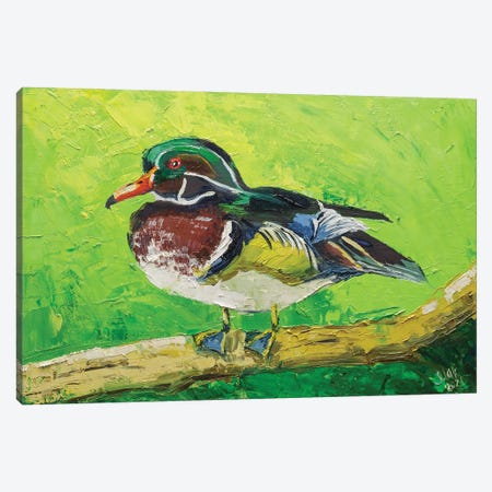 Wood Duck Canvas Print #NTM228} by Nataly Mak Canvas Wall Art