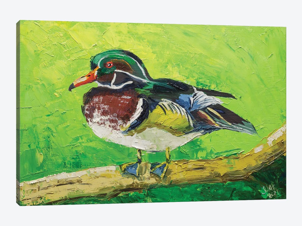 Wood Duck by Nataly Mak 1-piece Canvas Print