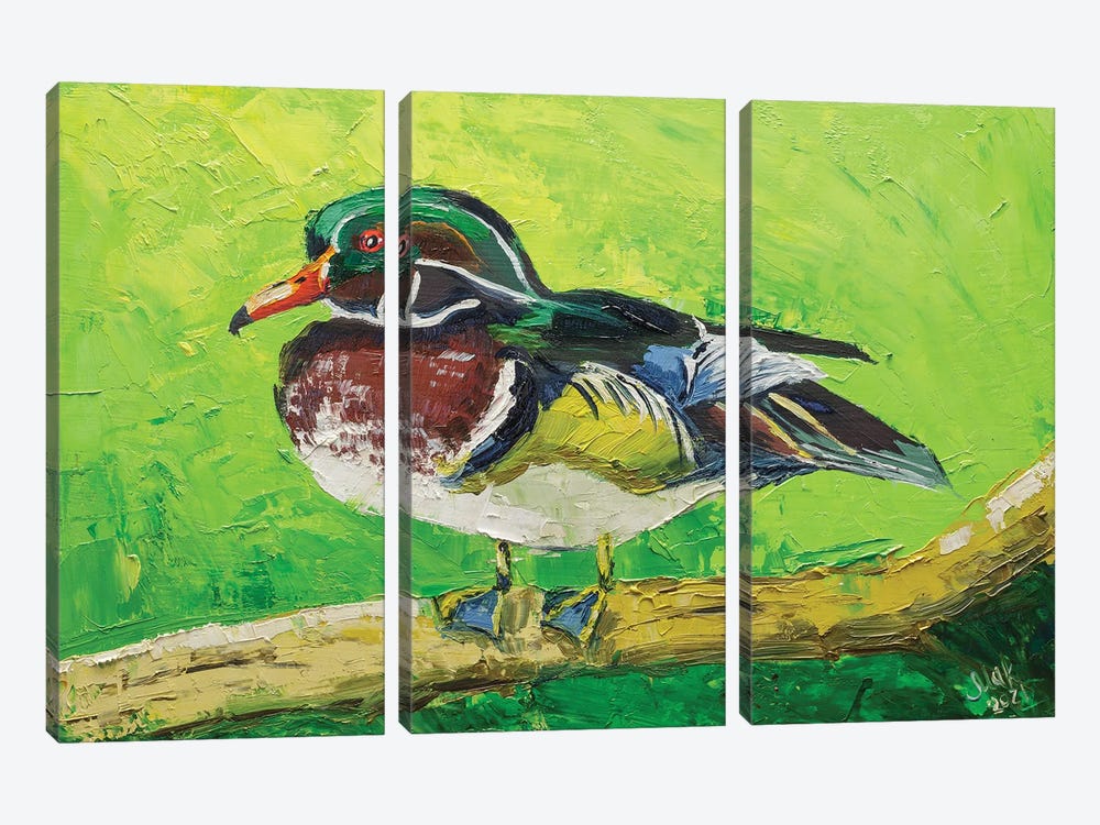 Wood Duck by Nataly Mak 3-piece Canvas Art Print