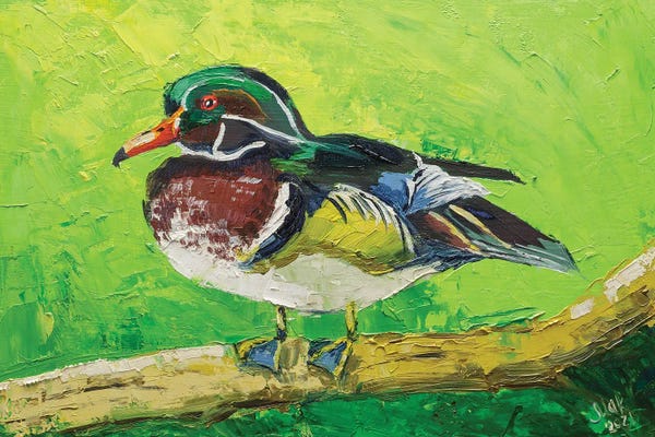 Lakehouse Décor: Wood Duck by Nataly Mak