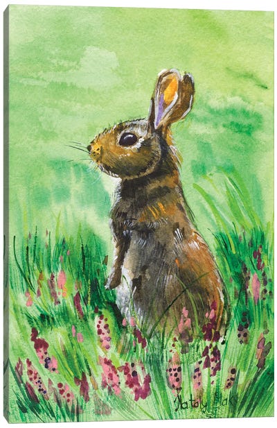 Hare Canvas Art Print - Nataly Mak