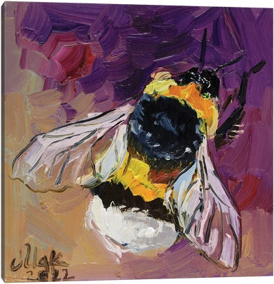 Honey Bee Canvas Art Print - Nataly Mak