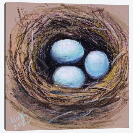 Robin Eggs Bird Nest Canvas Print #NTM241} by Nataly Mak Canvas Artwork