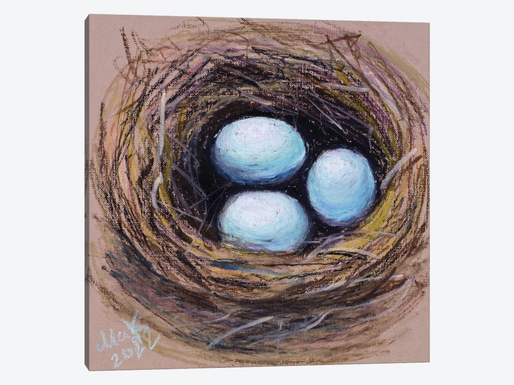 Robin Eggs Bird Nest by Nataly Mak 1-piece Canvas Wall Art