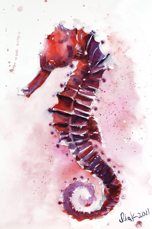 Seahorse