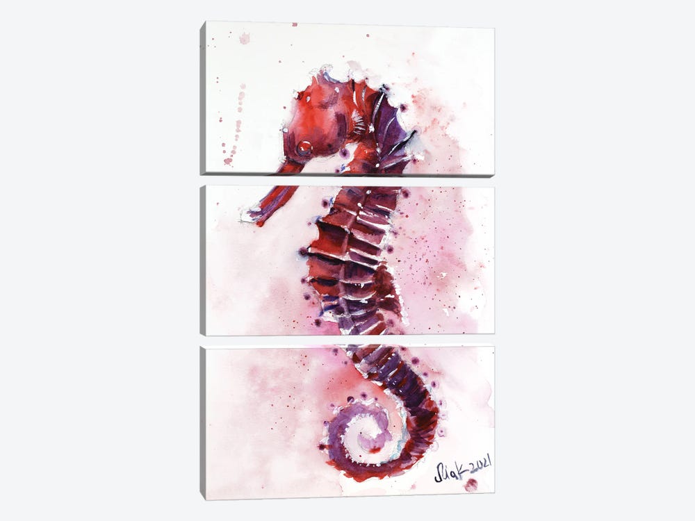 Seahorse by Nataly Mak 3-piece Canvas Wall Art