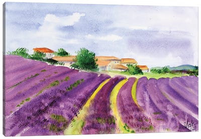Lavender Fields Provence Canvas Art Print - Lavender Art