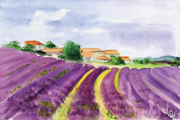 Herbs: Lavender Fields Provence by Nataly Mak