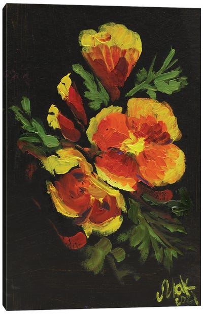 California Poppy II Canvas Art Print - Nataly Mak