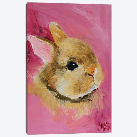 Bunny Pink Canvas Print #NTM265} by Nataly Mak Canvas Print
