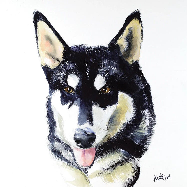 Malamute