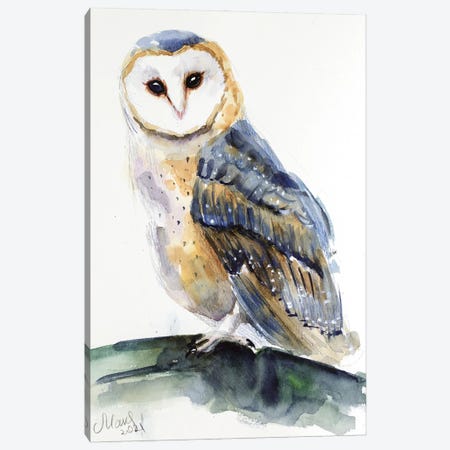 Owl Canvas Print #NTM268} by Nataly Mak Canvas Artwork