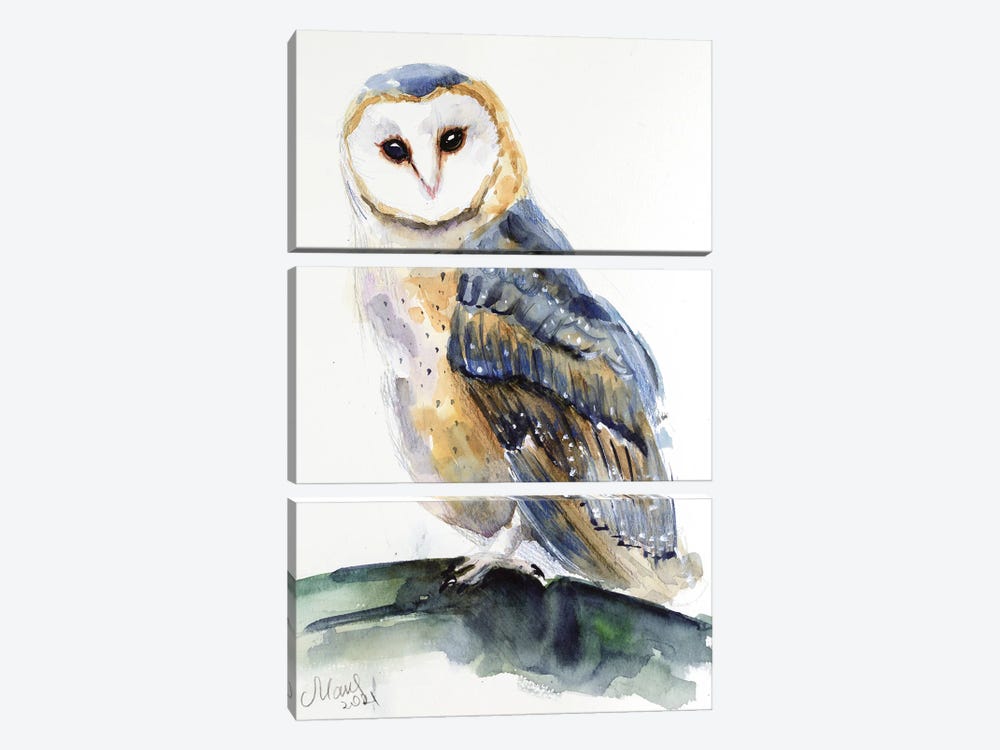 Owl by Nataly Mak 3-piece Canvas Print