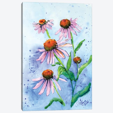 Echinacea Canvas Print #NTM280} by Nataly Mak Canvas Art