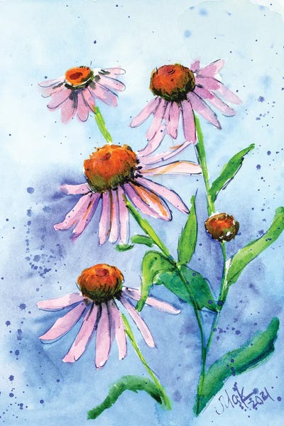 Nataly Mak: Echinacea by Nataly Mak