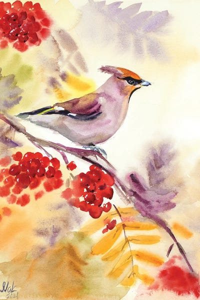 Nataly Mak: Waxwing by Nataly Mak