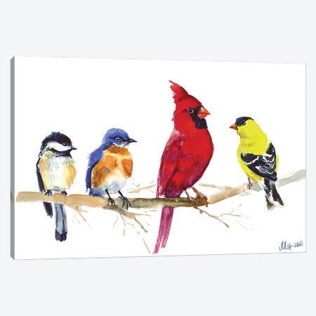 Birds On Wire - Red Cardinal, Chickadee, Goldfinch, Bluebird Canvas Print #NTM292} by Nataly Mak Art Print