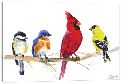 Birds On Wire - Red Cardinal, Chickadee, Goldfinch, Bluebird Canvas Art Print - Finch Art