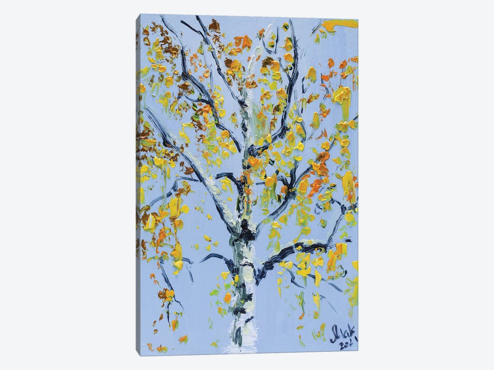 Autumn Birch Tree by Nataly Mak 1-piece Canvas Art Print