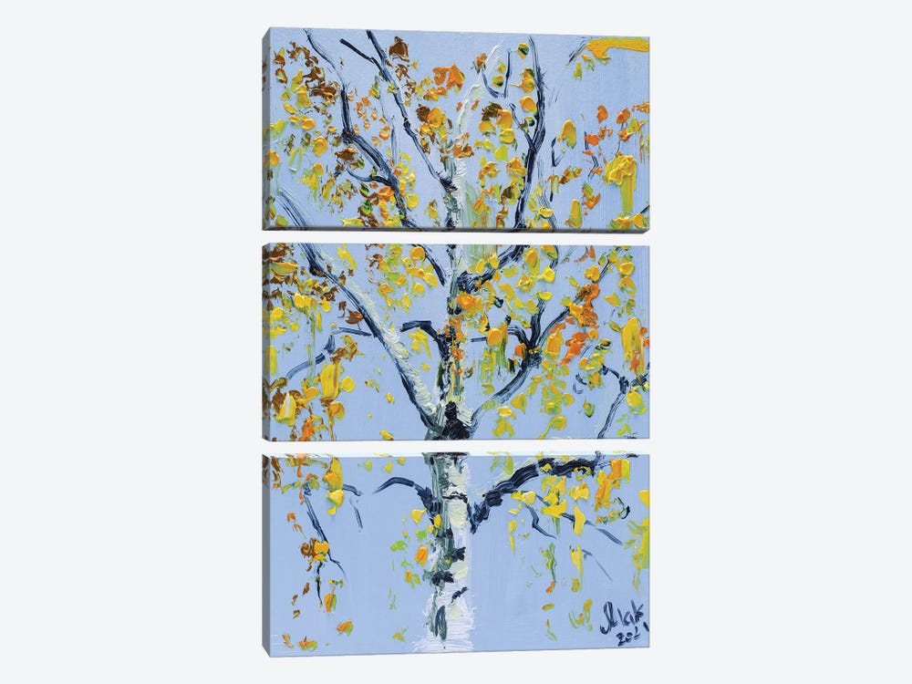 Autumn Birch Tree by Nataly Mak 3-piece Canvas Art Print