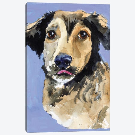 Shepherd Dog Canvas Print #NTM298} by Nataly Mak Canvas Print