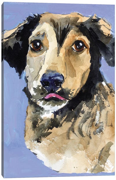 Shepherd Dog Canvas Art Print