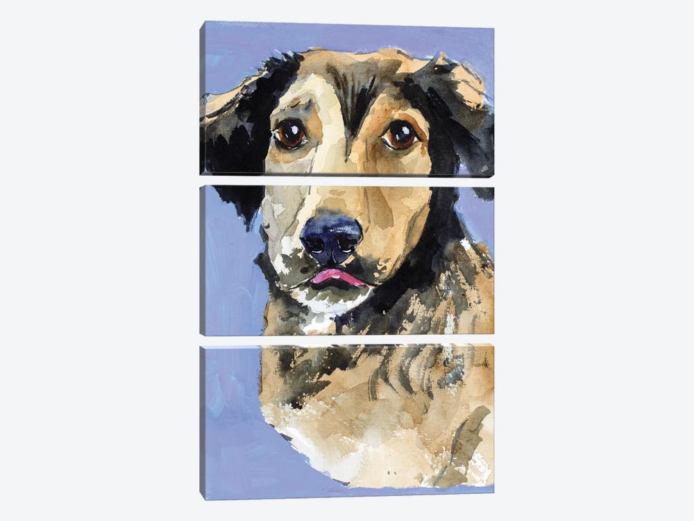Shepherd Dog by Nataly Mak 3-piece Canvas Artwork