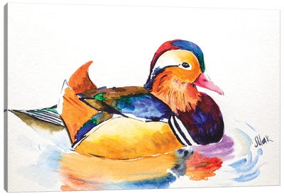 Mandarin Duck Canvas Art Print - Nataly Mak