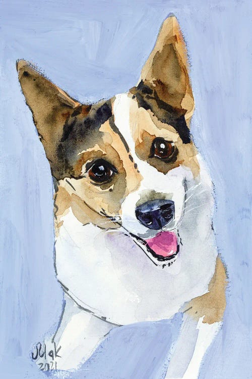 Corgi Dog