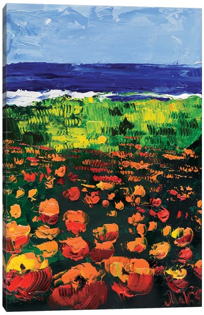 California Poppy On The Beach Canvas Art Print - Nataly Mak