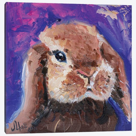Bunny Canvas Print #NTM311} by Nataly Mak Canvas Wall Art