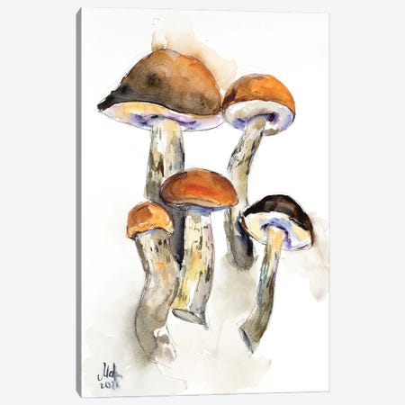 Mushrooms Canvas Print #NTM319} by Nataly Mak Canvas Wall Art
