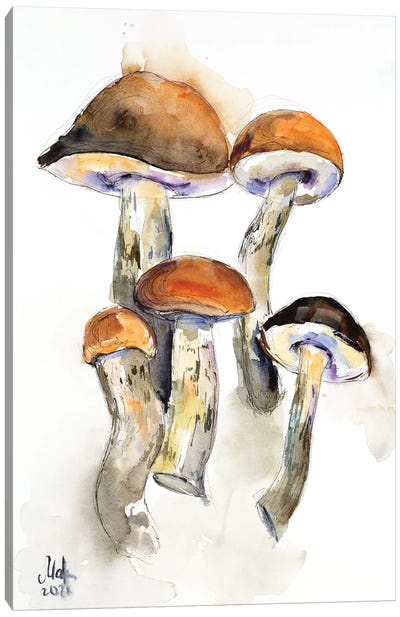 Mushrooms Canvas Art Print - Natural Elements
