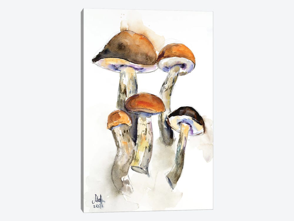 Mushrooms by Nataly Mak 1-piece Canvas Art