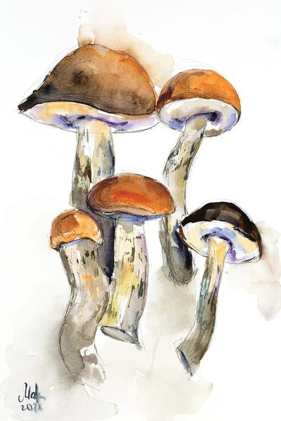Natural Elements: Mushrooms by Nataly Mak