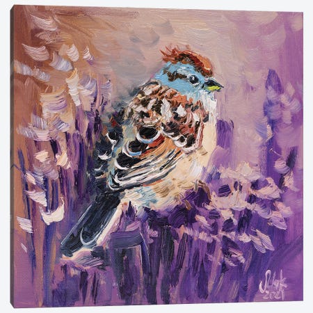 Sparrow Canvas Print #NTM320} by Nataly Mak Canvas Print