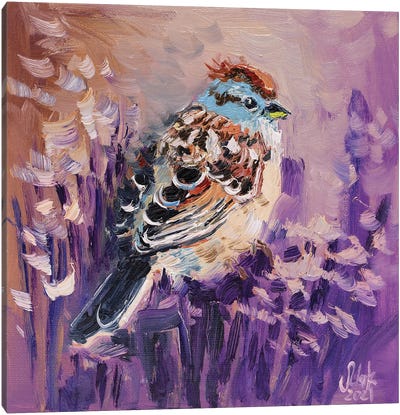 Sparrow Canvas Art Print - Sparrow Art