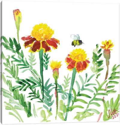 Marigold And Bee Canvas Art Print