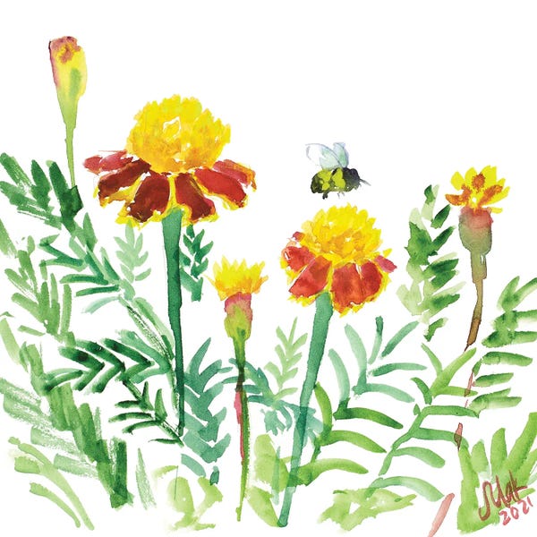 Marigolds: Marigold And Bee by Nataly Mak