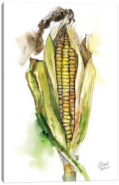 Corn Canvas Art Print - Nataly Mak