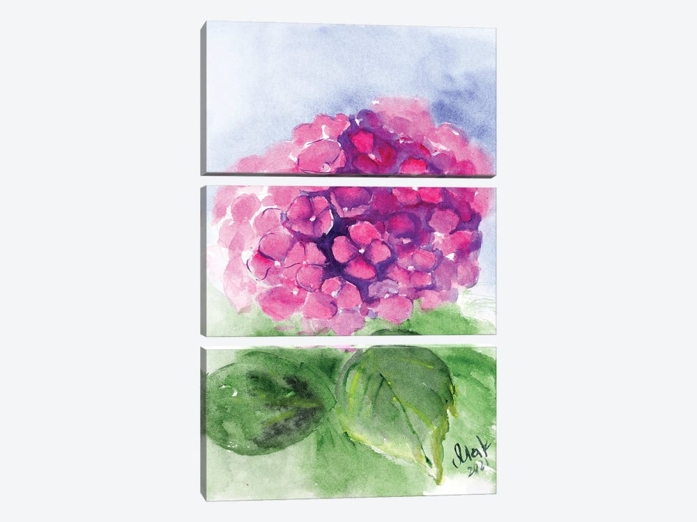 Pink Hydrangea by Nataly Mak 3-piece Canvas Artwork
