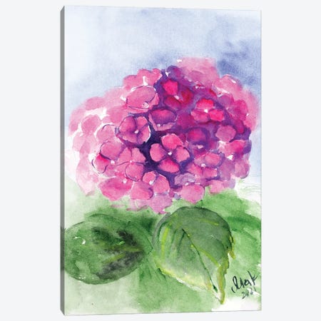 Pink Hydrangea Canvas Print #NTM326} by Nataly Mak Canvas Wall Art