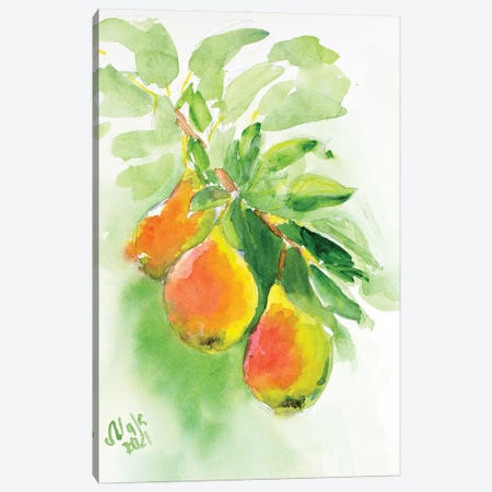 Pears Canvas Print #NTM335} by Nataly Mak Canvas Art Print
