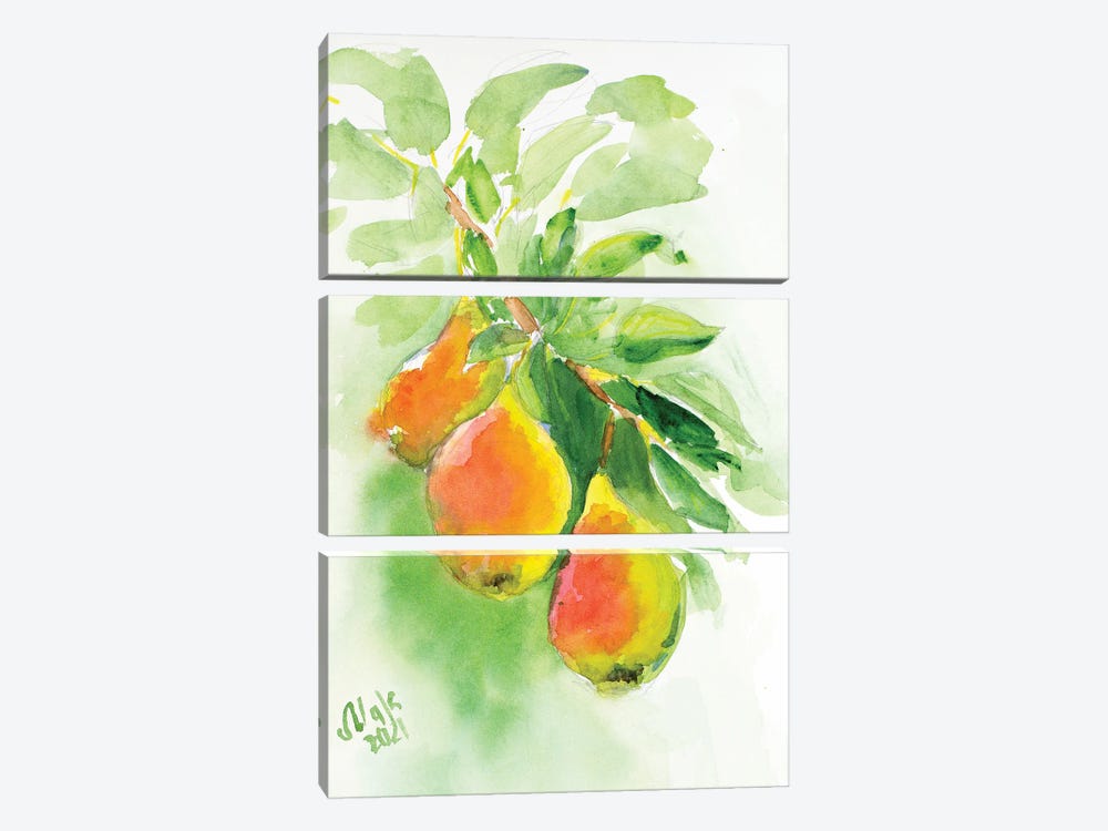 Pears by Nataly Mak 3-piece Canvas Artwork