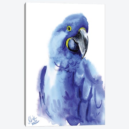 Blue Parrot Canvas Print #NTM337} by Nataly Mak Canvas Art Print