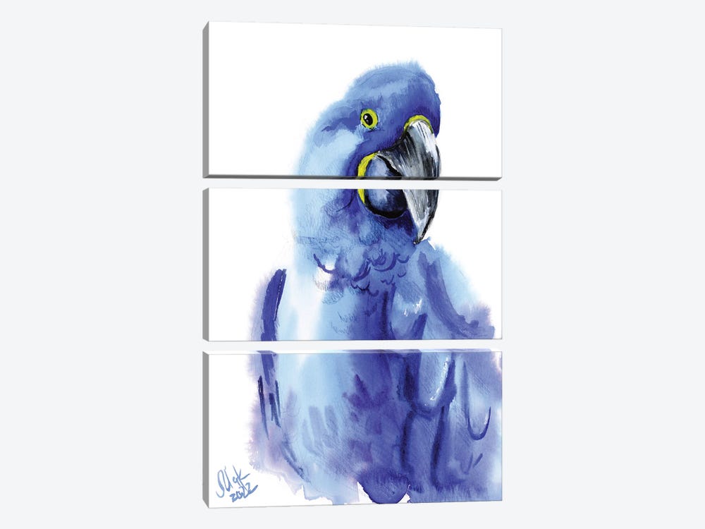 Blue Parrot by Nataly Mak 3-piece Canvas Wall Art